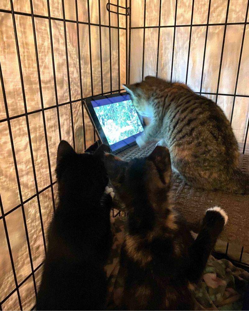 reddit.com/user/Confident_Ad4349